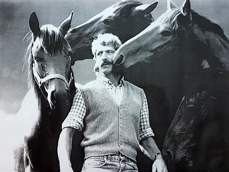 Paradis du cheval depuis presque 50ans