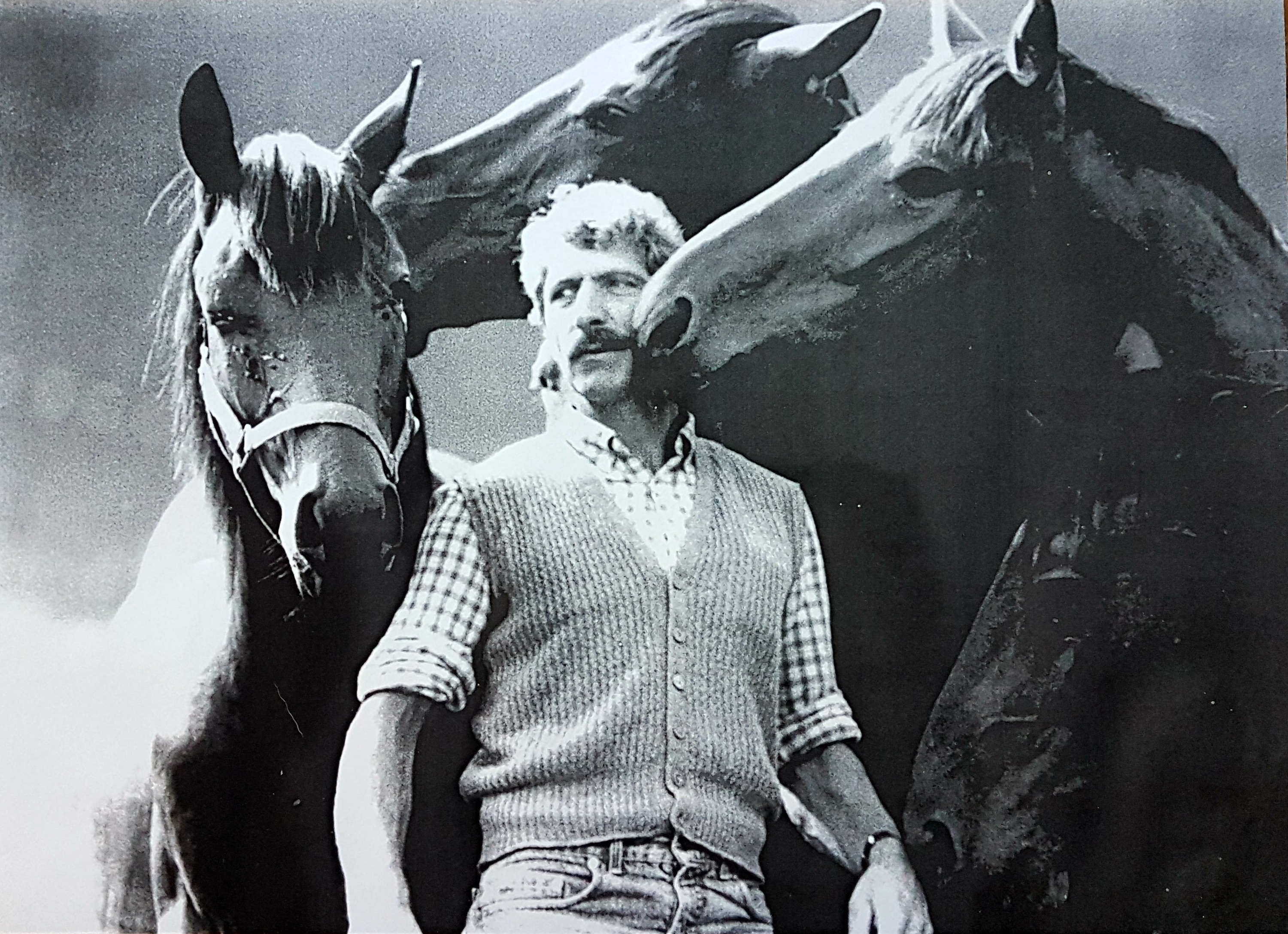 Paradis du cheval depuis presque 50ans